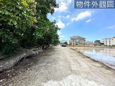 八德茄苳路省道旁農地 桃園市八德區茄苳段