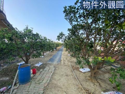 下營超值稀有釋出柚子農地含資材室 台南市下營區茅港尾段