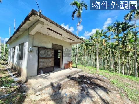 一棟未保登建物＋2000多坪私+破萬坪國有承租地 花蓮縣壽豐鄉壽山段