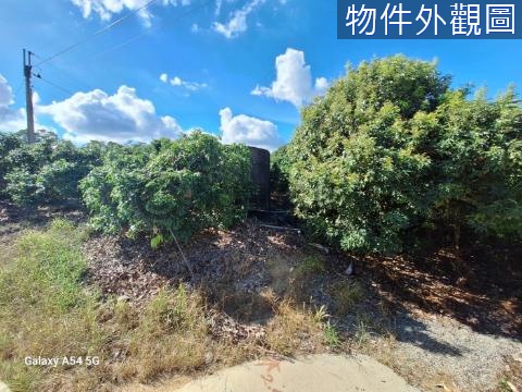 大樹姑山路長型方正農地 高雄市大樹區姑山段