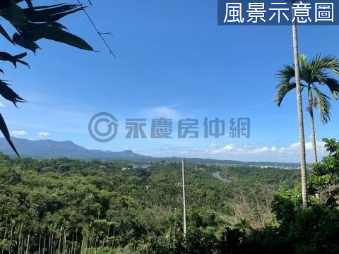 陽明山莊旁農地 嘉義縣番路鄉內甕段