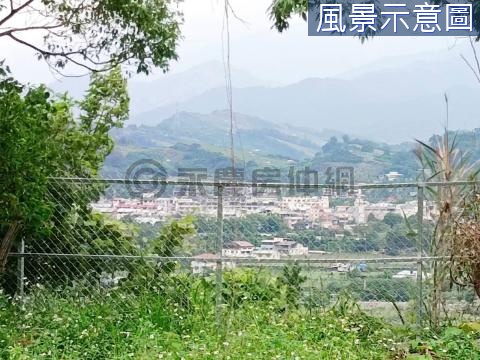 大甲溪景觀 | 大面寬有電錶 | 千坪方正農地 台中市新社區月湖段