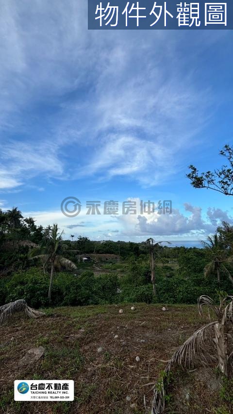 都蘭段一望無際絕美農地C農23 台東縣東河鄉北都蘭段