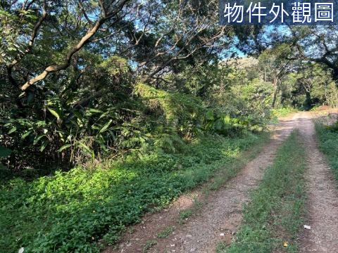 三芝林地 新北市三芝區芝蘭段