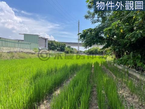 機捷A20旁臨路農地 桃園市中壢區芭里段