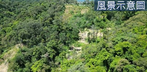 橫山-露營景觀休閒農牧大地坪 新竹縣橫山鄉沙坑貳段