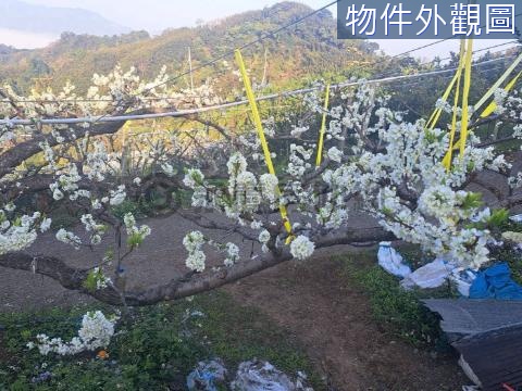 大湖興榮景觀視野美農地 苗栗縣大湖鄉興榮段