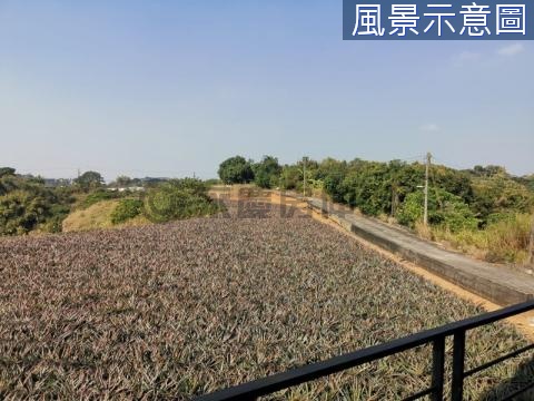 ★☆鳥松仁美☆都市計畫農地☆送豪華農舍☆ 高雄市鳥松區大丘園段