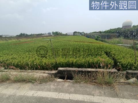 小港機場旁-淨園天空之城-方正農地 高雄市小港區中厝段