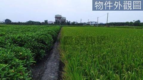 🌱近北斗市區臨路面寬64米方正農地 彰化縣北斗鎮舜耕段