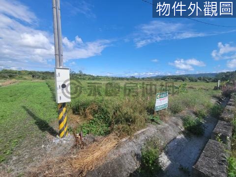 近東華大學小筆農地UE023F 花蓮縣壽豐鄉忠孝段