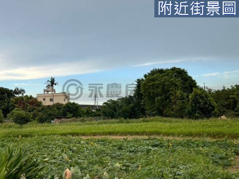 (愛)文化國小 復旦中學旁 都計內 方正美農地 桃園市平鎮區高雙段