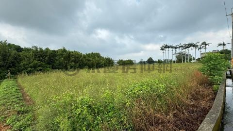 (綠866)觀音蓮花園正金華路農地 桃園市觀音區藍埔段