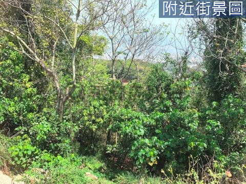 新草尾嶺步道無敵景觀休閒渡假小農地 南投縣南投市新草尾嶺段