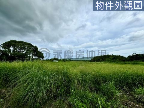 🌸花蓮壽豐忠孝綠映美景休閒小農地(二) 花蓮縣壽豐鄉忠孝段