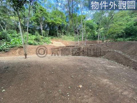 橫山富貴車站 近台三線 三個平台好利用農加林 新竹縣橫山鄉石湖段