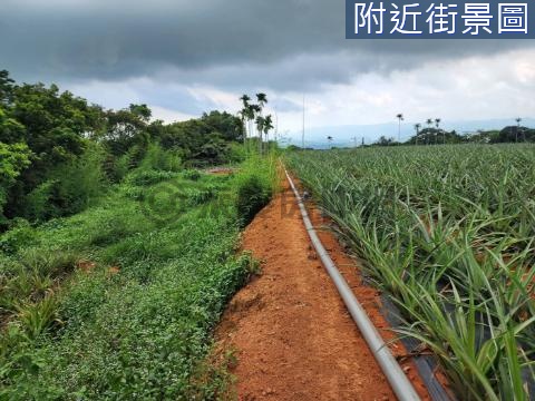 優質推薦 ★ 南投八卦路918巷農保用農地 南投縣南投市新草尾嶺段