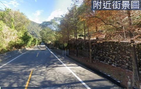 埔里鄰路已整理多平台超大塊農地甜甜價 南投縣埔里鎮西塔山段