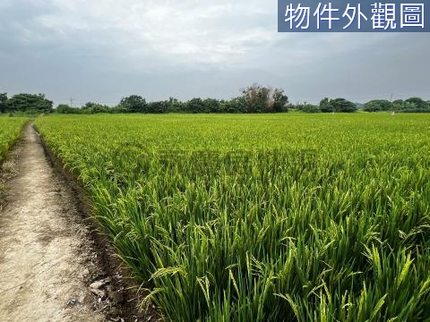 台南善化近庄頭有水電2.9分農地 台南市善化區大同段