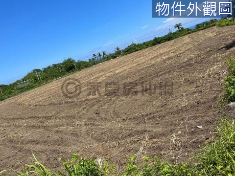 東河鄉近省道 臨路大面寬 風景區旱地 台東縣東河鄉北都蘭段