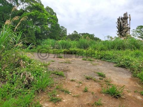 淡水無敵景觀土地 新北市淡水區蕃薯段