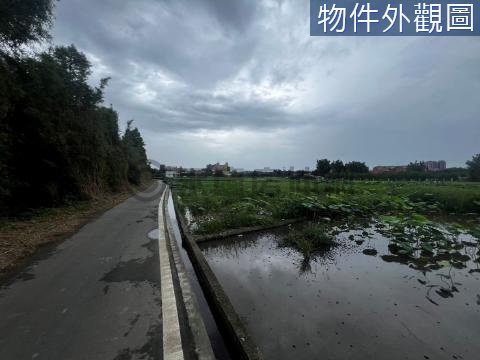 桃園大溪落羽松·臨路方正漂亮農地 桃園市大溪區廣福段