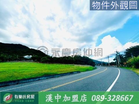 台東卑南582坪背山面海風景優美丙種建地 台東縣卑南鄉利泰段