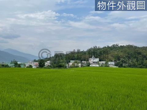 17F富里東竹村莊臨旁5米路低總價山坡地(A) 花蓮縣富里鄉學園段