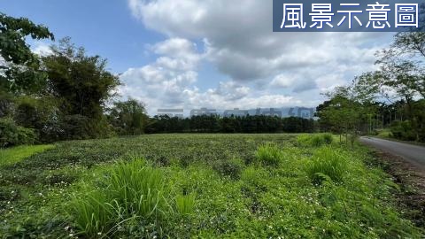 熱銷~瑞穗舞鶴茶園臨路農地(B)14F172 花蓮縣瑞穗鄉舞鶴東段