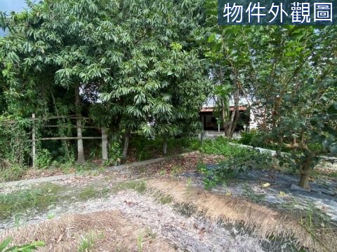 彰化田中大安國小鄉村乙種建築用地 彰化縣田中鎮大崙段