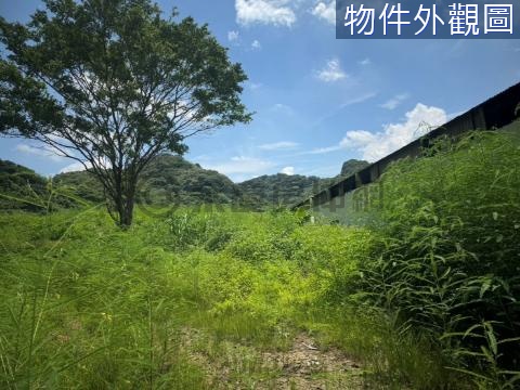 鶯歌中湖街丁種工業地+農地 新北市鶯歌區東湖段