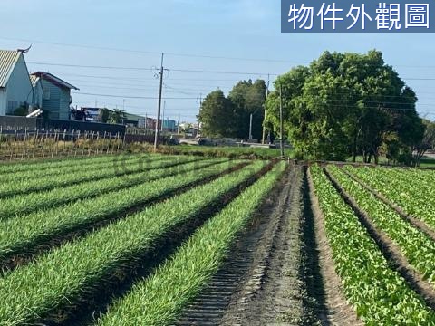 埤頭溪林路一彎出入方便 做農保恰恰好 田地 彰化縣埤頭鄉東和段