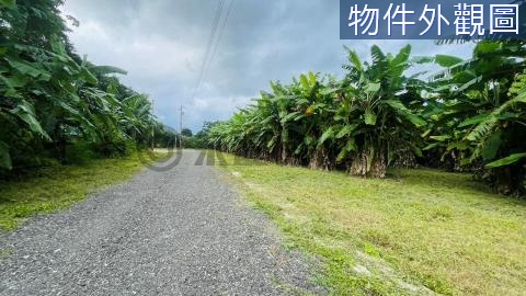 🍃花蓮市區-近豐村社區好利用小筆都內農地🍃 花蓮縣花蓮市四維段