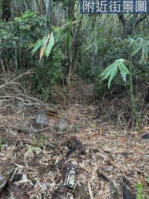 桃園龜山區虎頭山之都市計畫區土地-4 桃園市龜山區楓壽段