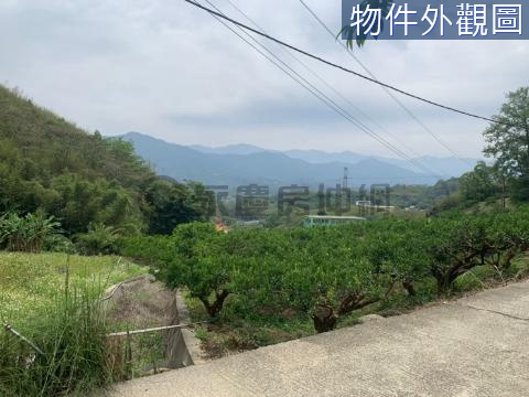 大湖休閒農牧用地 苗栗縣大湖鄉南湖段