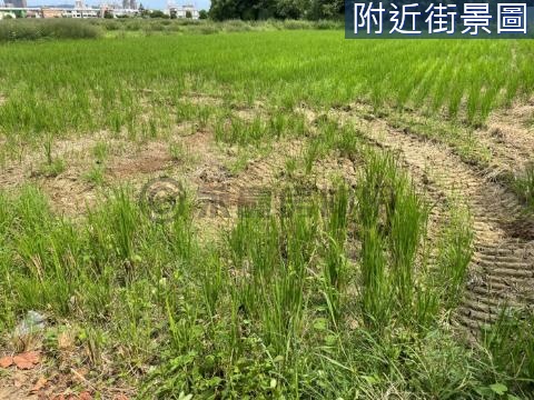 捷運綠線富興段增值農地 桃園市蘆竹區富興段