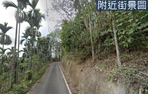 YX.鹿谷初鄉段1.5公頃山坡景觀農地 南投縣鹿谷鄉初鄉段