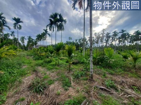 內埔村莊旁前後路農地(U)有水有電.近科大路 屏東縣內埔鄉東勢段