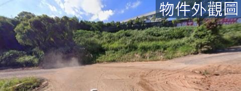 外埔水美南 丁種大地坪工業用地 台中市外埔區水美南段