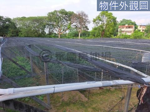 臨6米大復路農地 台中市新社區復盛段