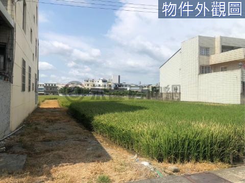 復興路旁美田 苗栗縣苗栗市維祥段維祥小段