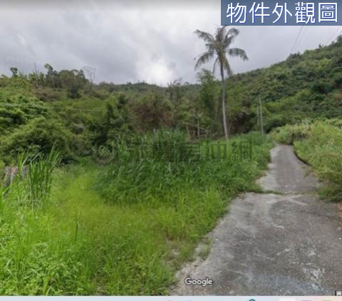 G77青海路臨路農地⭐️有景觀、臨路進出便利/田 台東縣卑南鄉鎮樂段