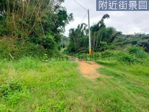 龜山陳厝保護區土地3 桃園市龜山區陳厝段