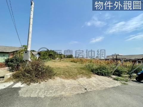 新營太子宮前方建地後方都農 台南市新營區太子宮段太子宮小段