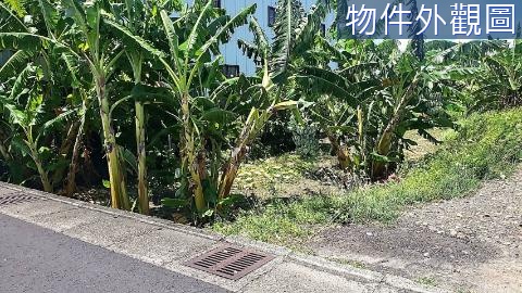 台南中央公路特農地 台南市西港區下宅子段