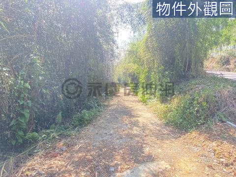 專任南投竹山瑞山段1甲農地 南投縣竹山鎮瑞山段