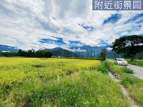 池上平坦臨路休閒農地 | 投資置產好選擇 台東縣池上鄉萬福段