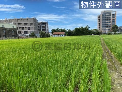 麻園段-小坪數 臨路田 新竹縣竹北市麻園段