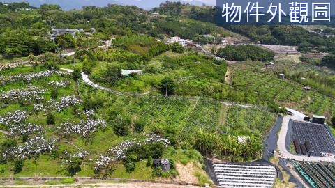 【大湖南湖段】大湖果園｜農牧用地 苗栗縣大湖鄉南湖段