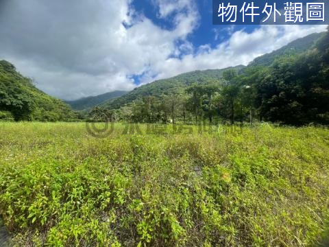 員山望龍埤日安農場旁山坡地☆ 宜蘭縣員山鄉望龍埤段